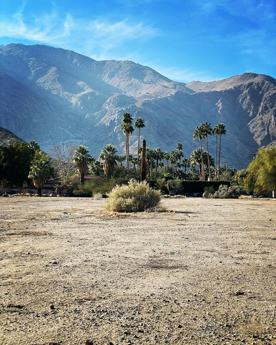 Palm Springs